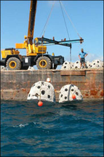 040612reef2-v[1]